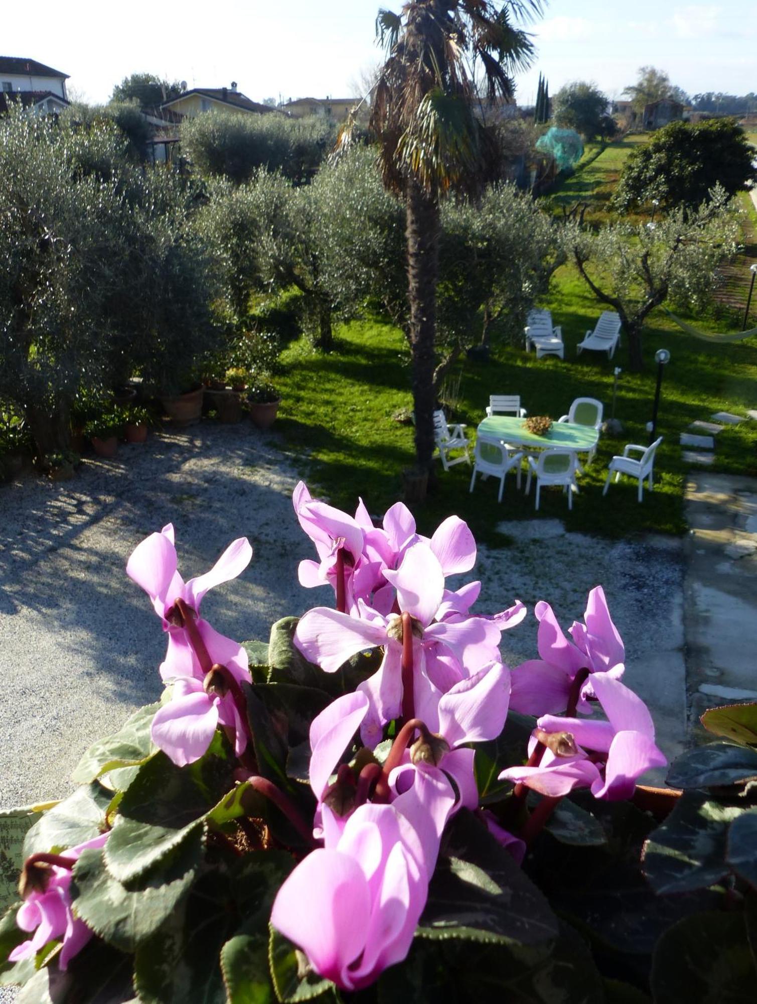 La Casa Di Silvia Lägenhet Massarosa Exteriör bild